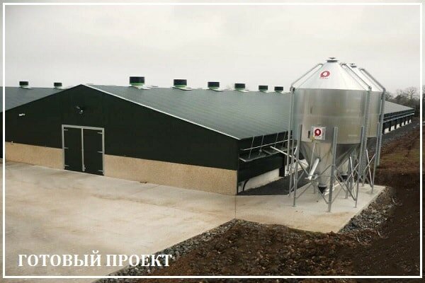Этапы возведения птицефабрики от завода ВелесТент-мрн
